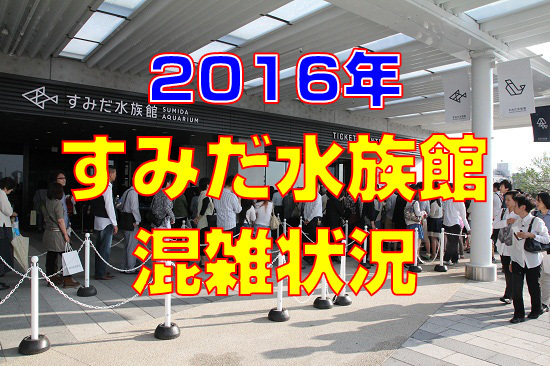 すみだ水族館の混雑 16年バージョン 40代のおじさんが気になる情報集めてみました